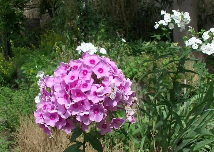 In Bei Quedlinburg *